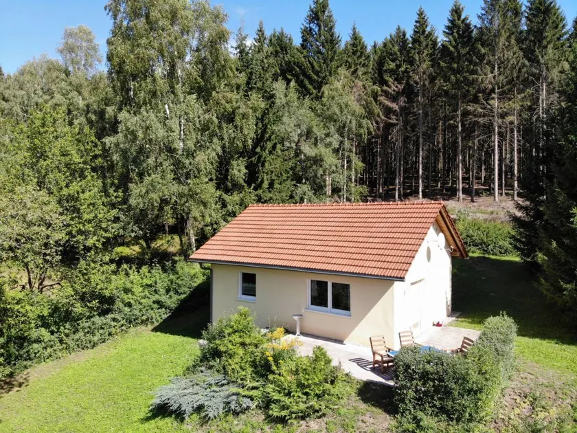 House with terrace, garden & barbeque | Pets allowed - Image 1