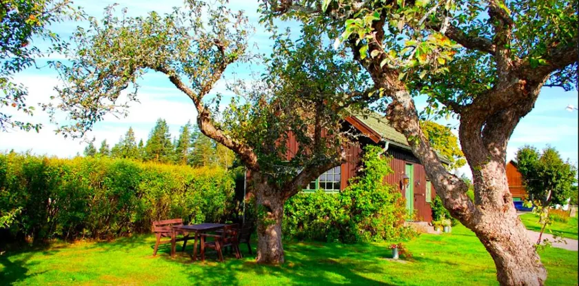 Maison de vacances conviviale et familiale avec barbecue, terrasse et jardin - Image 1