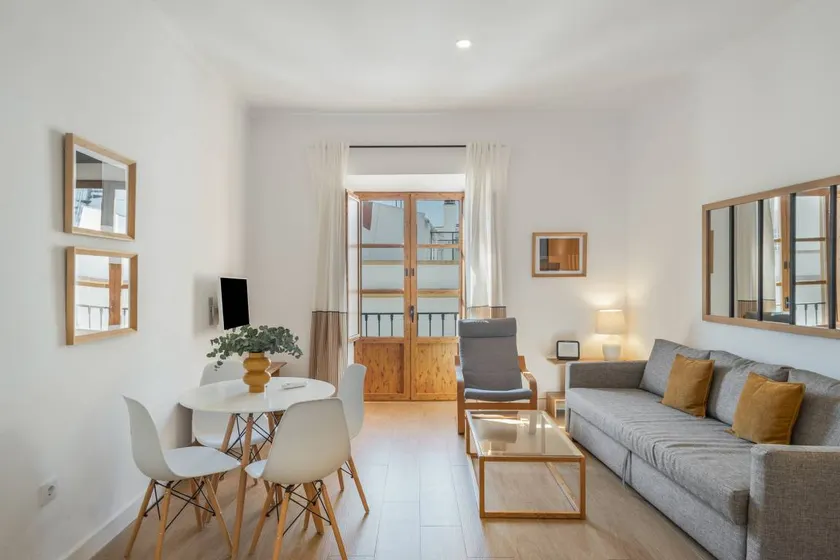 Charming apartment | Near Seville Cathedral | Suitable for remote work | Dogs allowed - Image 1