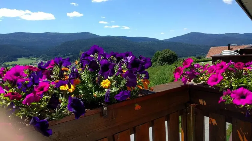 Appartamento con sauna e terrazza - Image 1