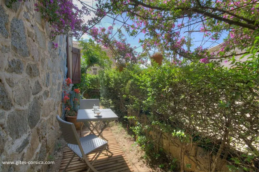 LE CEDRAT TROIS - Image 1