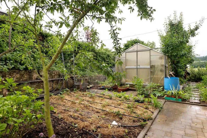 Appartamento con giardino | Vista sul giardino - Image 1