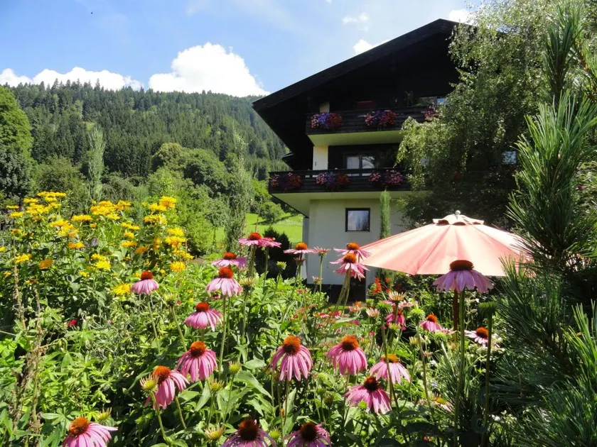 Salvia in Millstatt - Image 1
