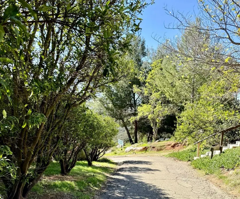 Pet Friendly Breathtaking Cottage with Hot-tub in Rainbow, California - Image 1