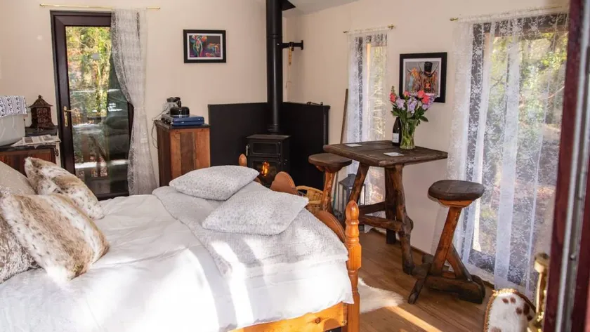 Nice holiday home with garden | Dogs allowed - Image 1