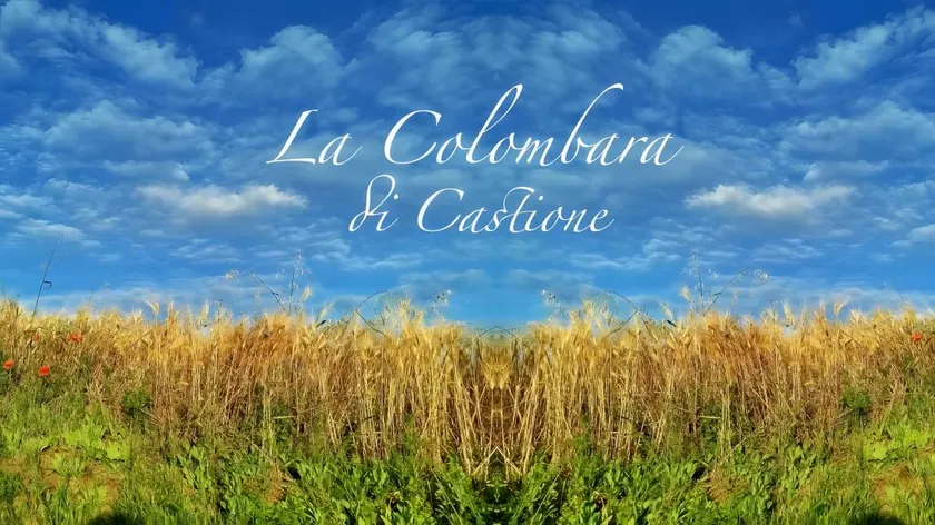 Maravillosa casa con jardín | Admite perro - Image 1