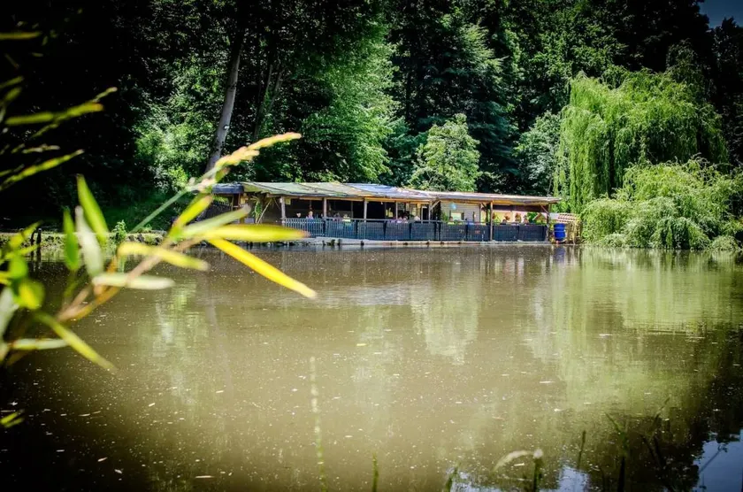 Peaceful A-Frame with Pond Views near Malečnik, Maribor, Slovenia - Image 1