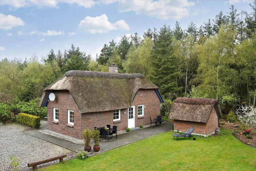 Wonderful holiday home with terrace, barbeque & sauna | Dogs allowed - Image 1