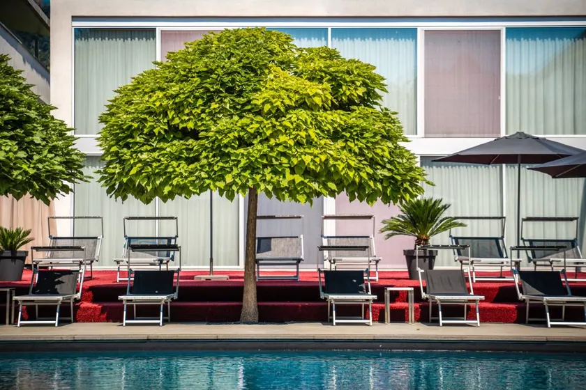 Apartment with garden & pool - Image 1