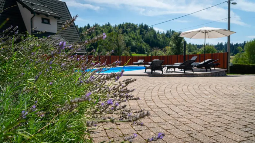 Fully equipped lovely holiday home with terrace, pool & BBQ | Pets are welcome - Image 1
