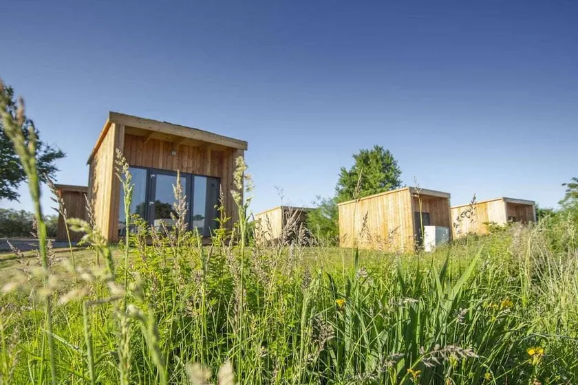 House | Dogs allowed - Image 1