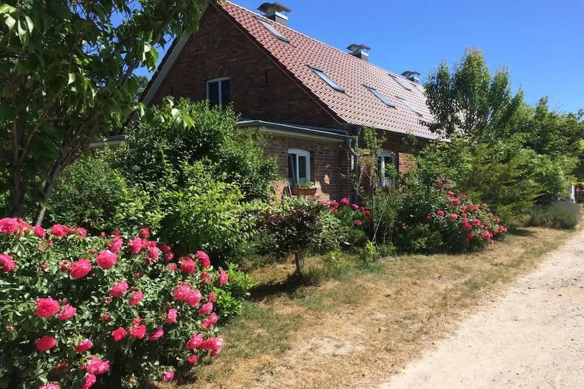 Holiday home with terrace - Image 1