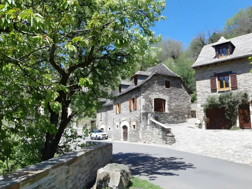 Merveilleux cottage avec jardin, terrasse et barbecue | Vue jardin | Avec animaux autorisés - Image 1