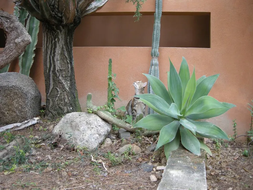 Private room with garden - Image 1