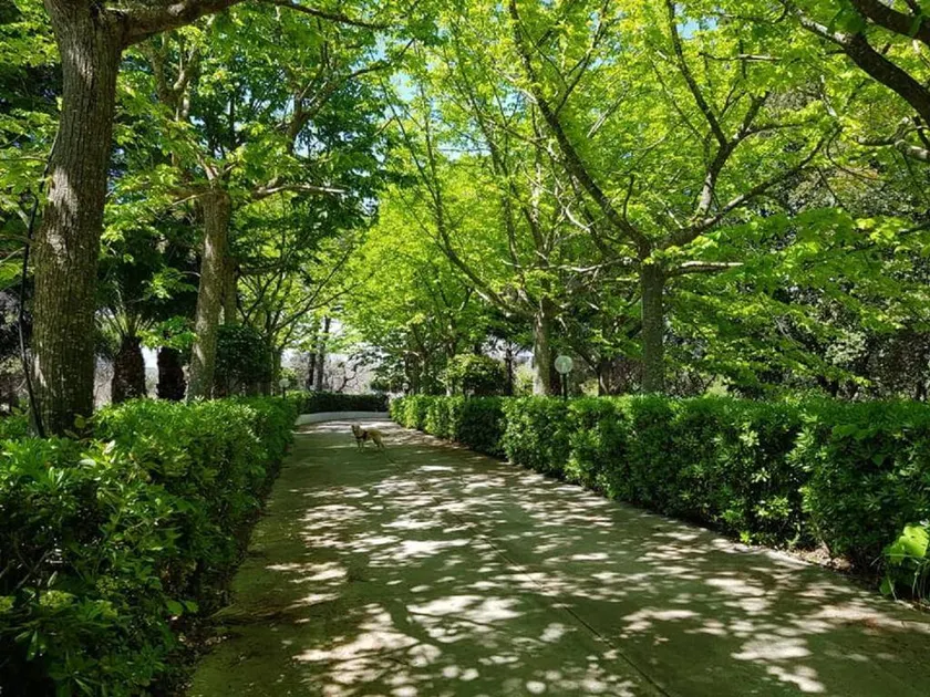 Lovely villa with BBQ & garden | Dogs allowed - Image 1