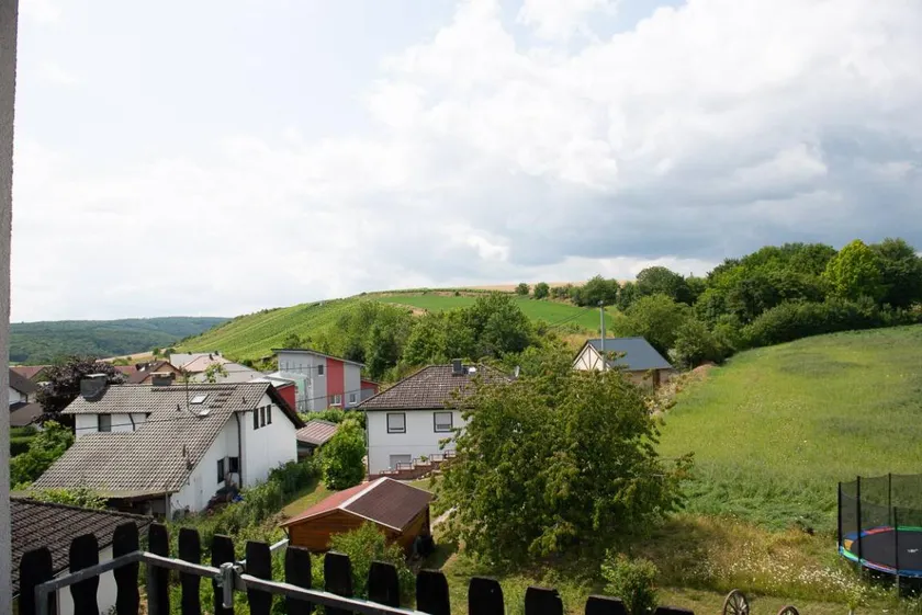Weingut und Ferienappartement Erbacher Hof - Image 1