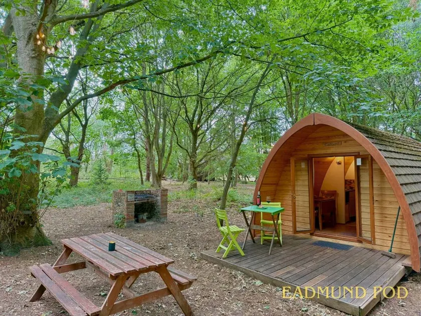Glamping Pods in Suffolk Woodland Retreat - Image 1