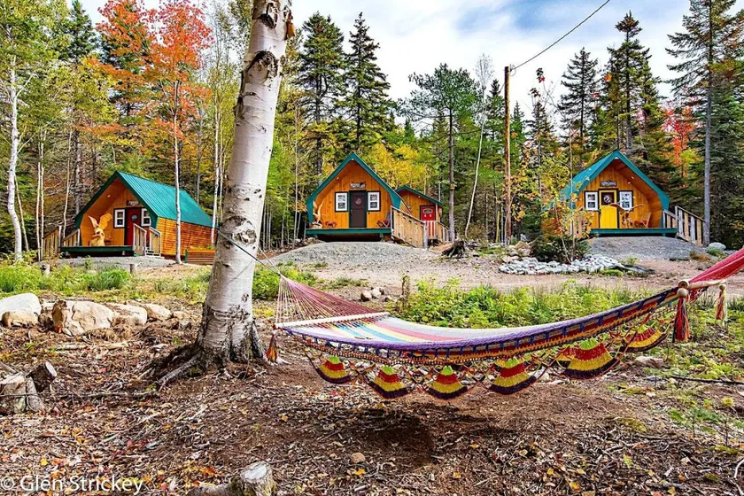 Luxurious Woodland Cabin in Nova Scotia - Image 1