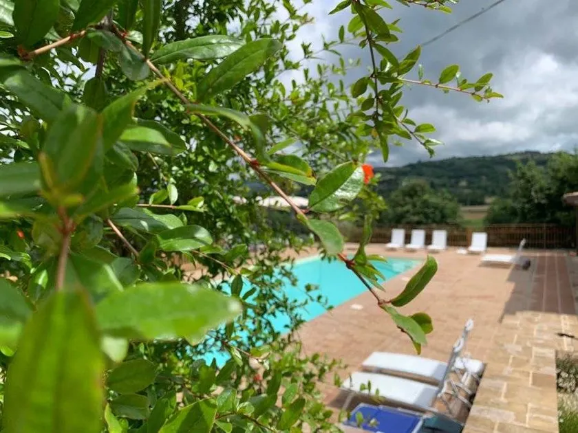Agriturismo La Palazzetta di Assisi: Appartamento Ginestra con spazio verde privato - Image 1