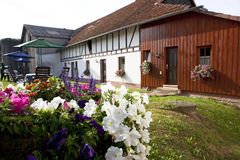 Holiday apartment with jacuzzi & garden - Image 1