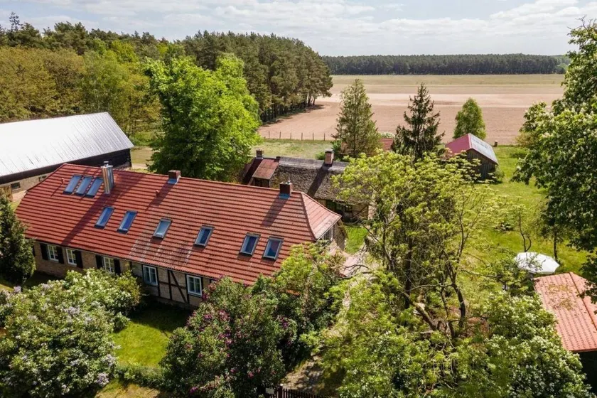 FeWo-Am-Wald - Image 1