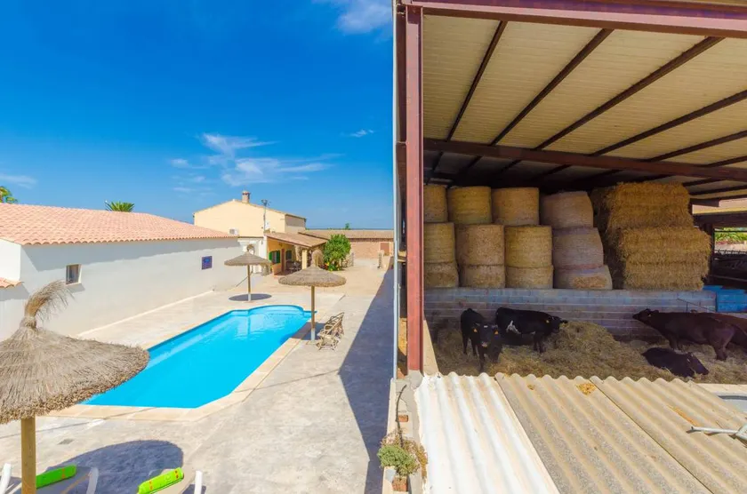 Chalet with garden, pool & terrace - Image 1
