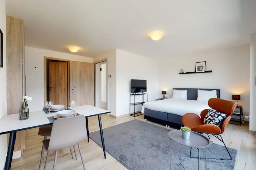Furnished Studio #005 - Swiss Resort Aigle - Image 1