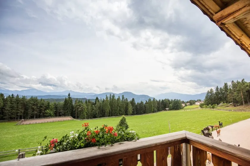 Kinderfreundliches tolles Apartment mit Terrasse und Garten | Gartenblick | Haustiere sind willkommen - Image 1