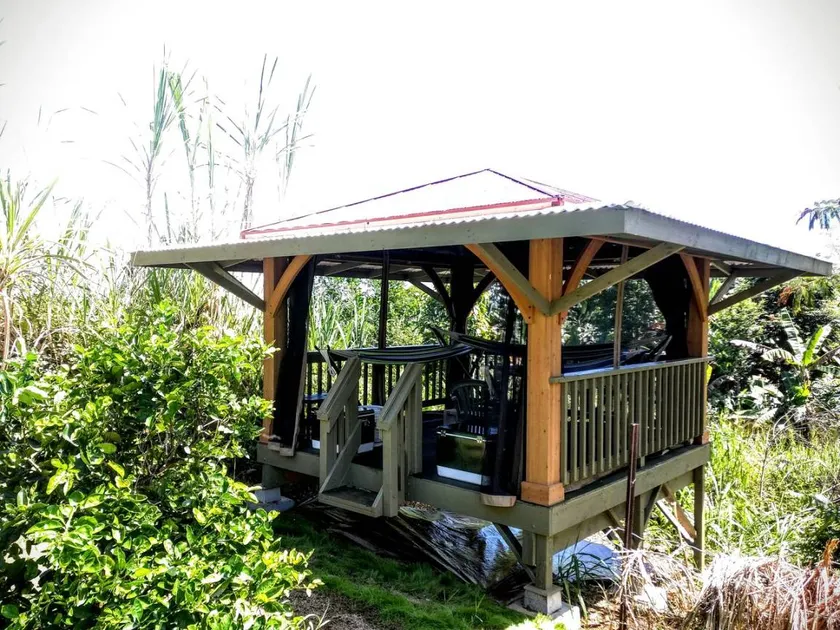 Single Hammock Rental in a Coed Outdoor Dorm near Akaka Falls, Hawaii - Image 1