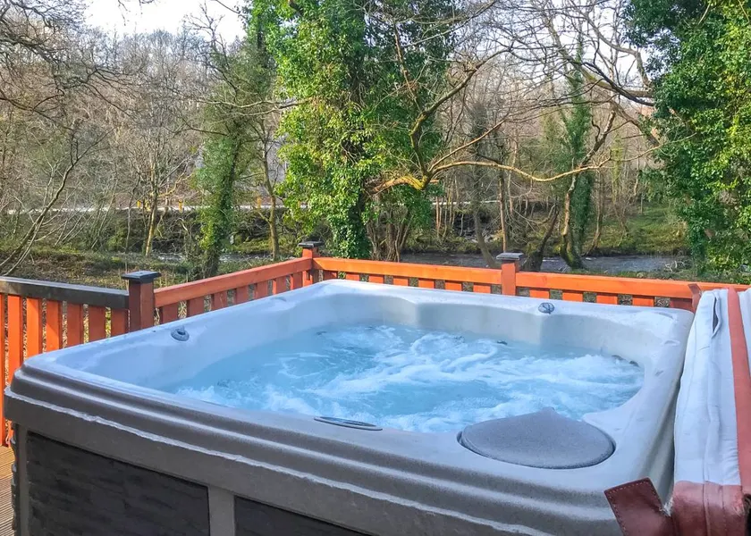 Chalet with jacuzzi - Image 1