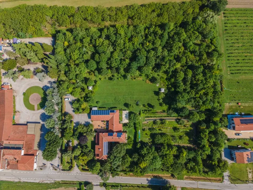 Agriturismo bio Settecentoalberi - Camere e Ristorante: Camera Quinta con letto a baldacchino, al piano terra - Image 1