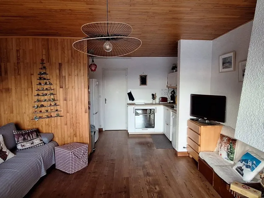 Appartement spacieux, terrasse sud-est, 2 chambres - Image 1