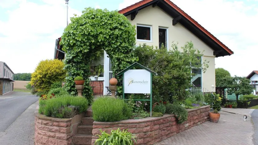 Apartment with sauna, garden & terrace - Image 1