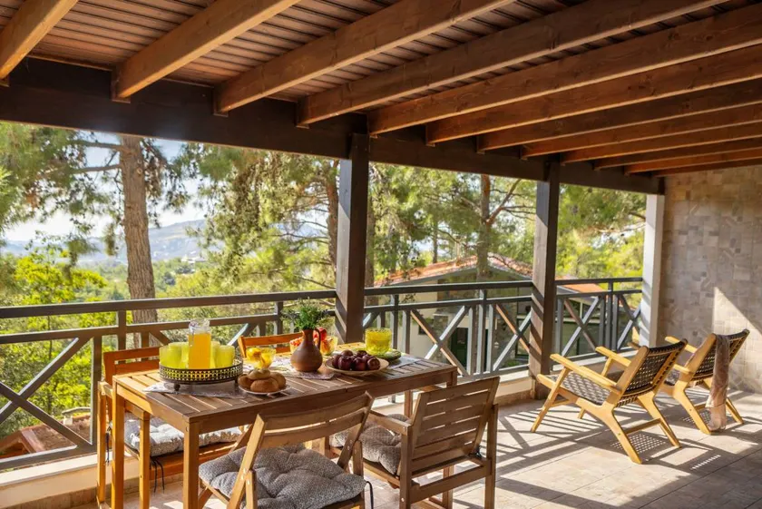 Villa with terrace, barbecue & garden - Image 1