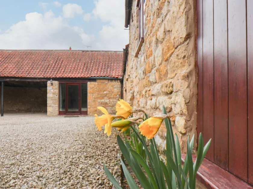 Cottage with garden - Image 1