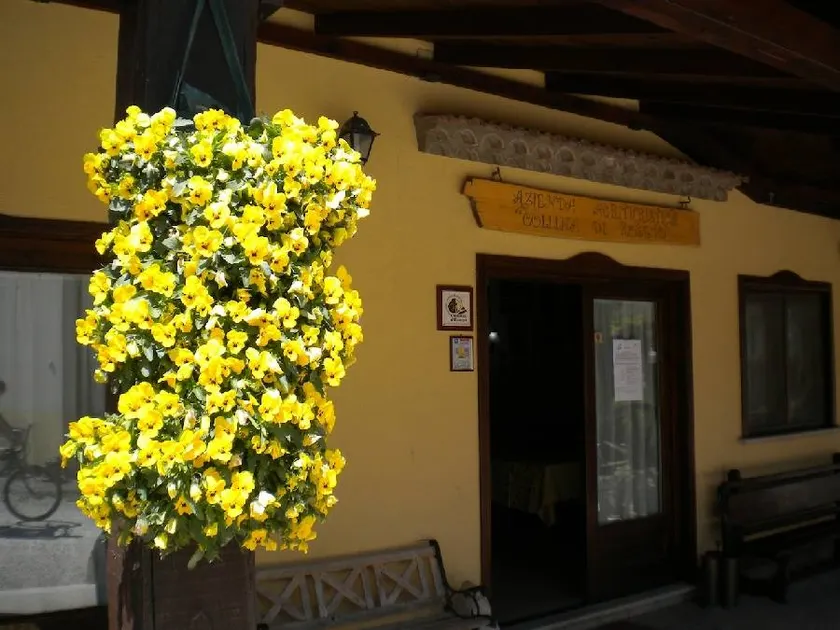 La Collina di Roseto: Camera prezzo - Image 1