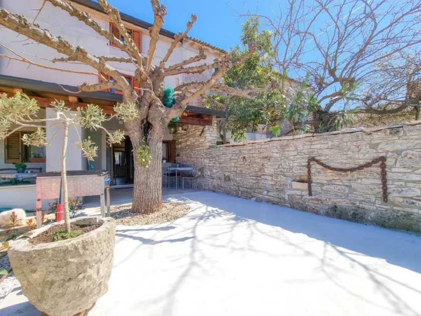 Mediterranean and dog-friendly apartment only 600 meters to the beach - Image 1