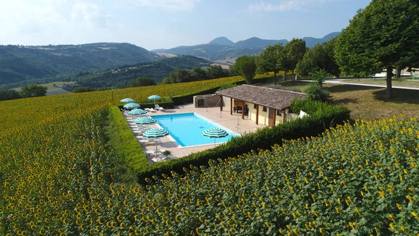 Le Querce di Serra San Quirico: Farnia - Image 1