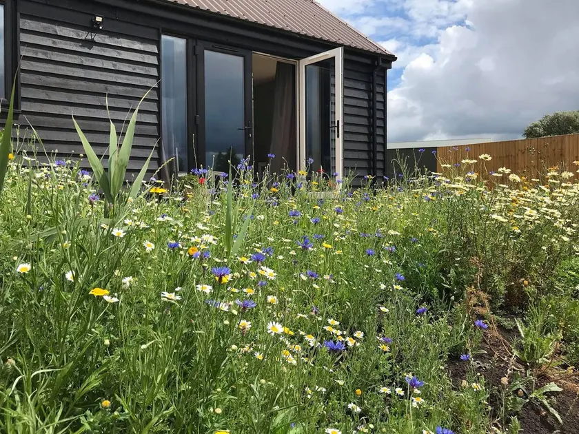 Family-friendly cottage with garden | Water view | Pets are welcome - Image 1