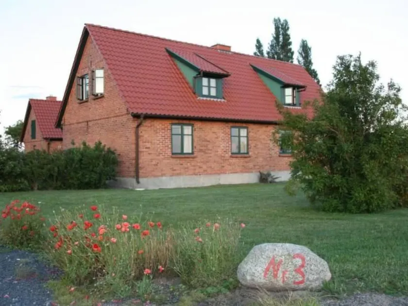 Gans in Ummanz-Lüßvitz - Image 1