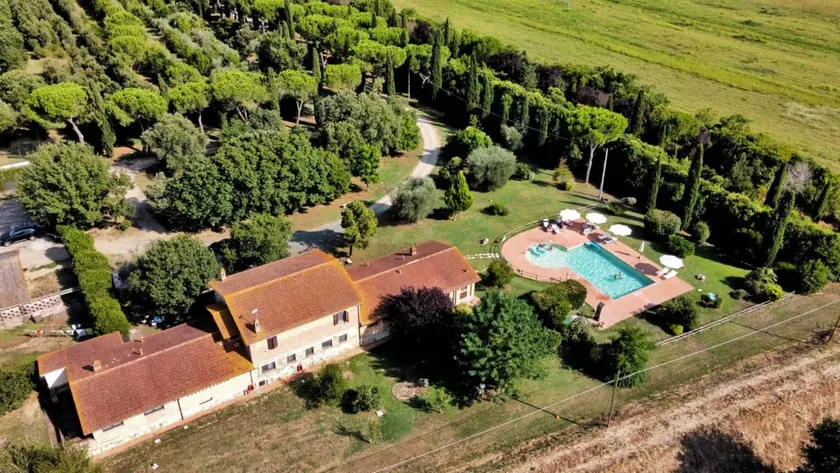 Querciolaie: Alloro (App 3) - Image 1