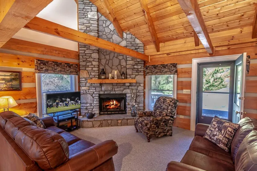 Cabin with barbecue | Mountain view - Image 1