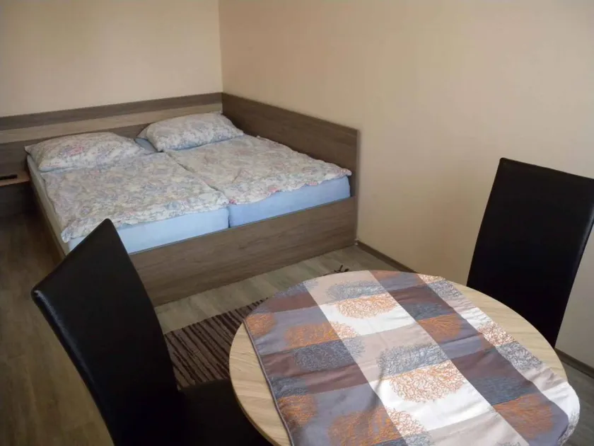 Flat with barbecue & garden - Image 1