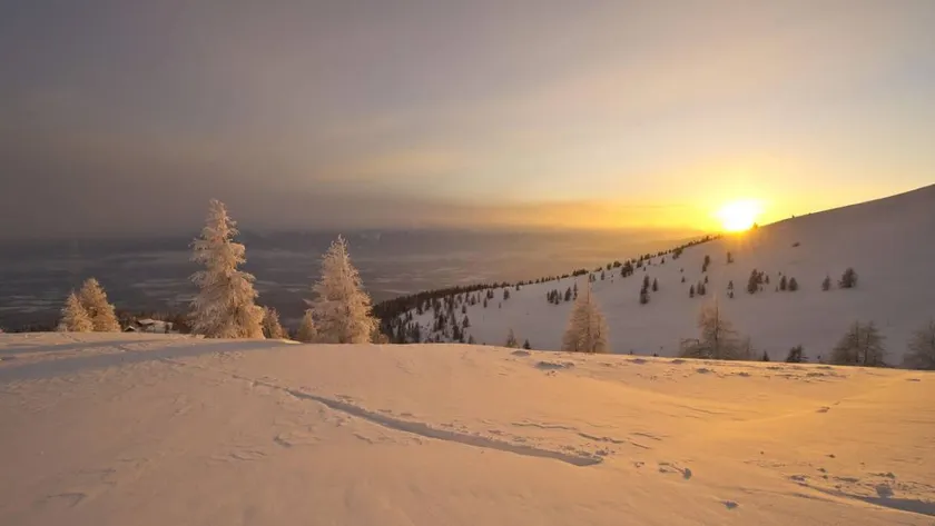 Family-oriented holiday apartment with garden | Garden view | Close to the ski | Pets allowed - Image 1