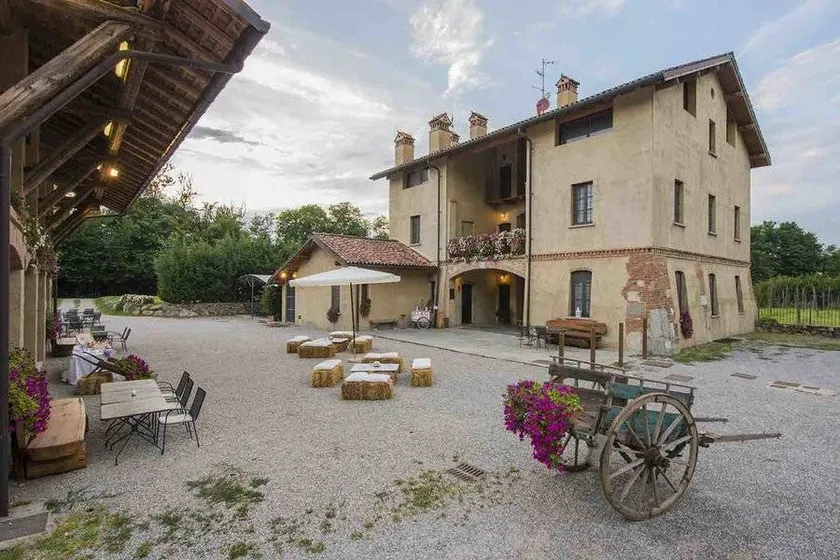 Azienda Agricola Brusignone: Mirtillo - Image 1