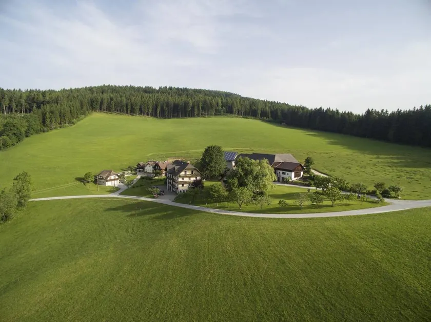 Flat with garden, barbecue & sauna - Image 1
