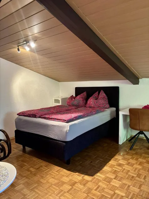 Triple room, shower and bath, toilet, 1 bed room - Image 1