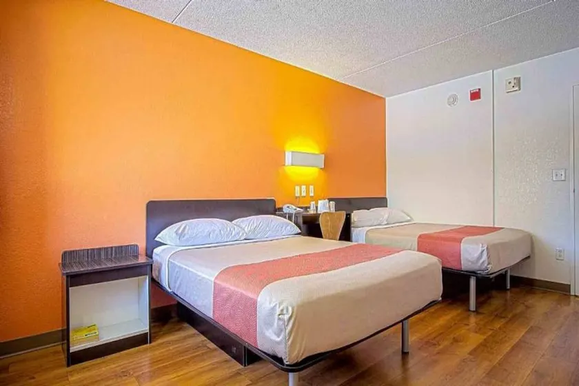 Nice holiday apartment | Dogs allowed - Image 1