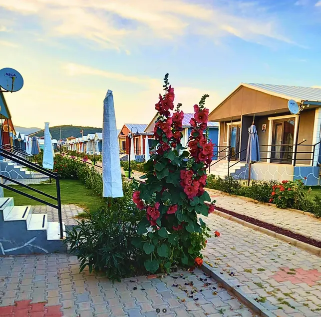 Familienorientierter schöner Bungalow mit Garten, Grill und Terrasse | Wasserblick | Haustiere erlaubt - Image 1
