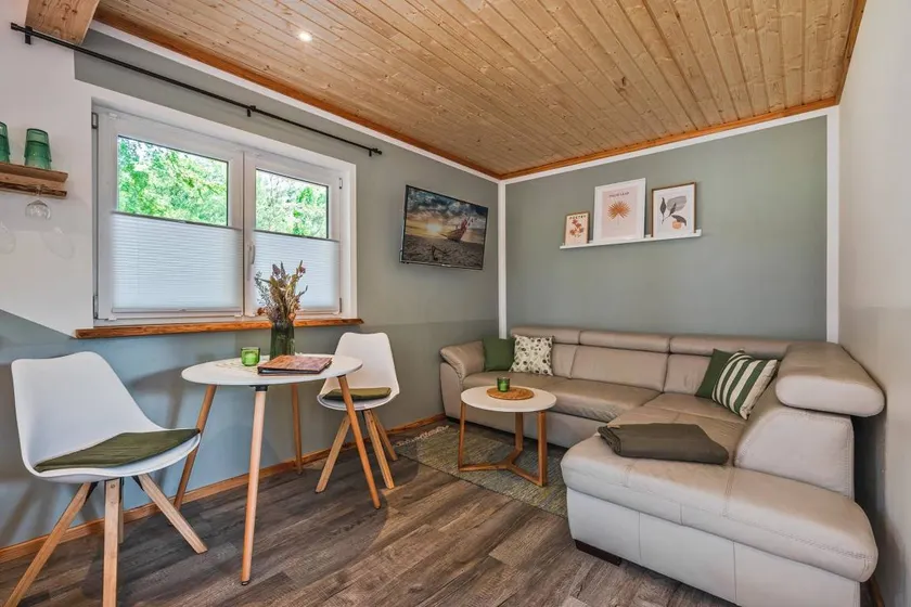 Children-friendly pleasant holiday home with terrace, BBQ & sauna | Close to the beach | Pets allowed - Image 1